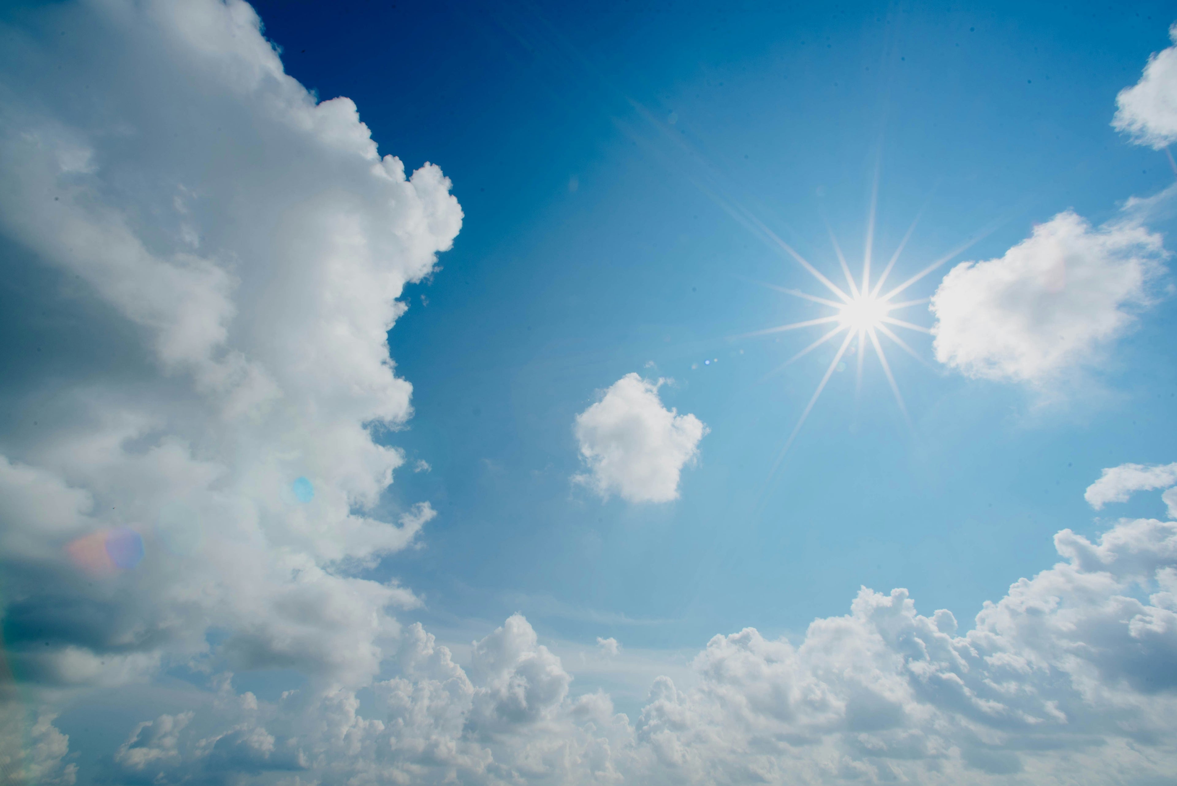 La vitamine D, plus qu'une vitamine...